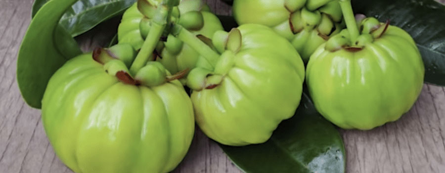 Effets secondaires Garnicia Cambogia